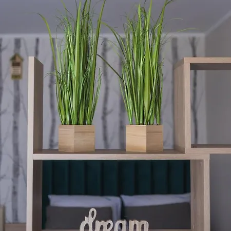 Dream Team Bocianowo Apartment