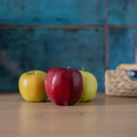 Dream Team Bocianowo Apartment *