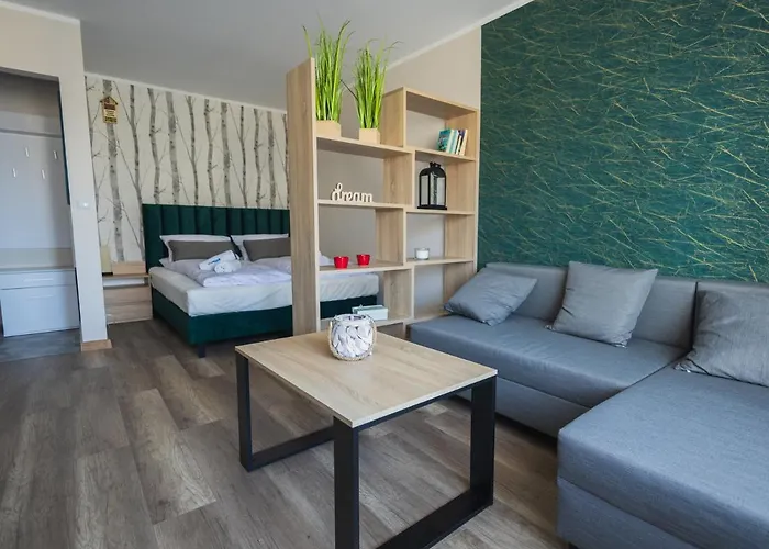 Dream Team Bocianowo