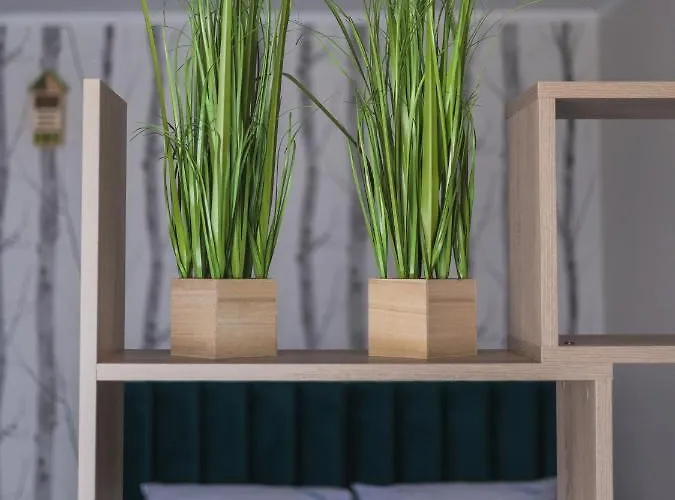 Dream Team Bocianowo Apartamento