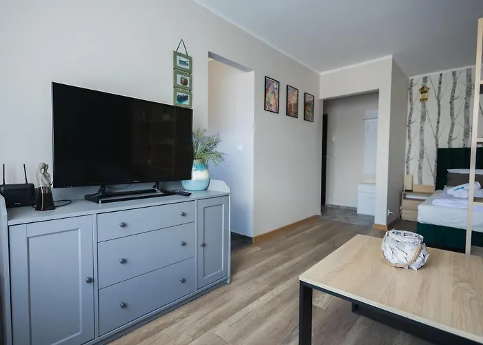 Apartment Dream Team Bocianowo Bydgoszcz