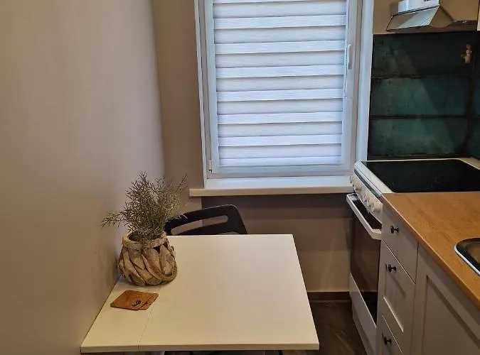 Dream Team Bocianowo * Bydgoszcz